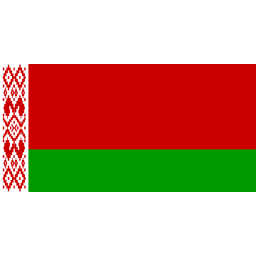 Download free flag belarus icon